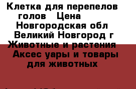 Клетка для перепелов 250 голов › Цена ­ 18 990 - Новгородская обл., Великий Новгород г. Животные и растения » Аксесcуары и товары для животных   